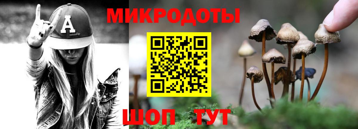 Псилоцибиновые грибы прущие грибы Коряжма
